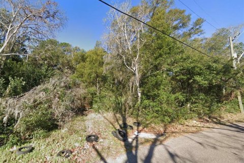 Land in Jacksonville, Florida № 2386330 - photo 2