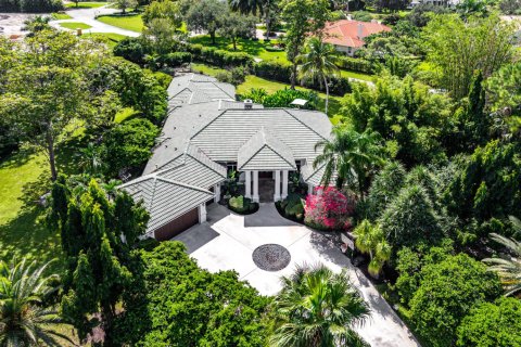 Villa ou maison à vendre à Wellington, Floride: 6 chambres, 410.63 m2 № 2419395 - photo 3
