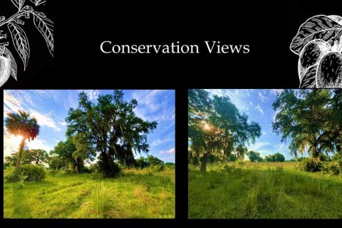 Land in Archer, Florida № 2104354 - photo 4