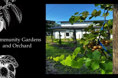Land in Archer, Florida № 2104354 - photo 15
