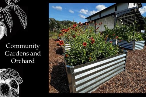 Land in Archer, Florida № 2104354 - photo 16