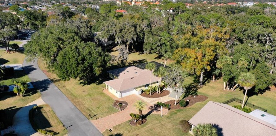 Villa ou maison à Palm Coast, Floride 3 chambres, 218.04 m2 № 2142523