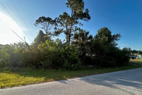 Land in North Port, Florida № 2159781 - photo 4