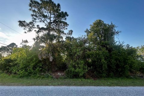 Land in North Port, Florida № 2159781 - photo 5