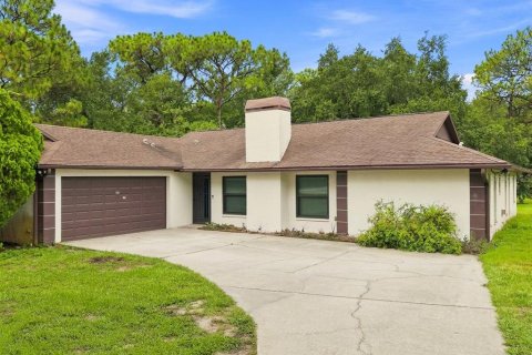 House in New Port Richey, Florida 3 bedrooms, 167.5 sq.m. № 2299858