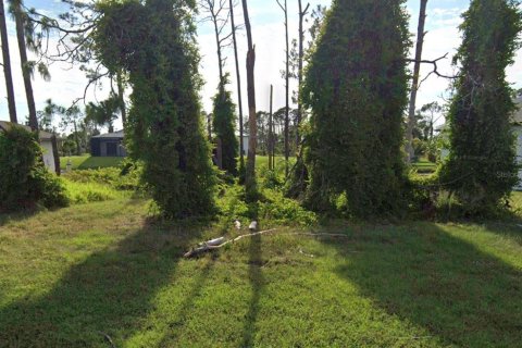Terrain à Rotonda, Floride № 2097542
