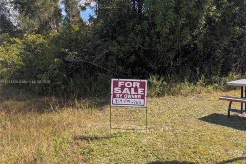 Terreno en venta en Lehigh Acres, Florida № 1969608 - foto 2