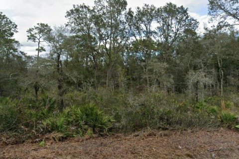 Land in Webster, Florida № 2158675