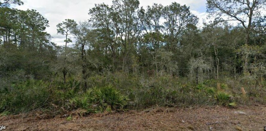 Land in Webster, Florida № 2158675