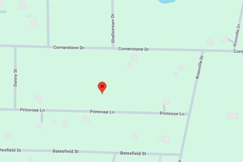 Land in Webster, Florida № 2158675 - photo 2