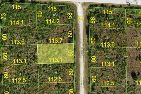 Land in Punta Gorda, Florida № 2162792