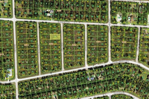 Land in Punta Gorda, Florida № 2162792 - photo 3