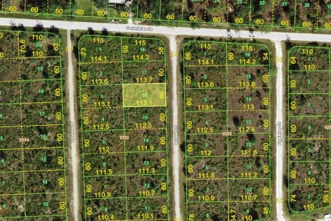 Land in Punta Gorda, Florida № 2162792 - photo 2