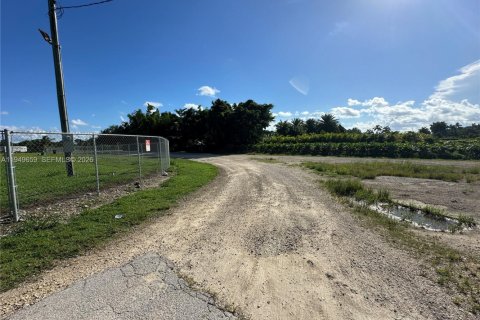 Купить земельный участок в Майами, Флорида № 2005257 - фото 10