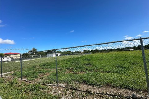 Купить земельный участок в Майами, Флорида № 2005257 - фото 4