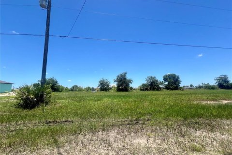 Terreno en venta en Cape Coral, Florida № 1243509 - foto 2