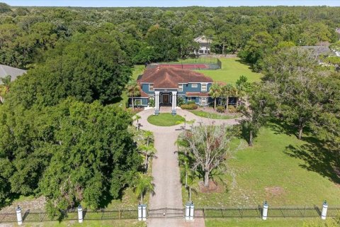 House in Tarpon Springs, Florida 5 bedrooms, 472.13 sq.m. № 1854566 - photo 3