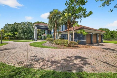 House in Tarpon Springs, Florida 5 bedrooms, 472.13 sq.m. № 1854566 - photo 7