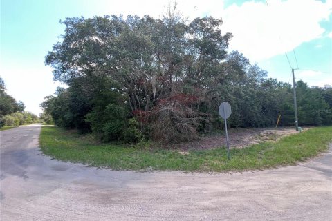 Land in Ocklawaha, Florida № 2228222