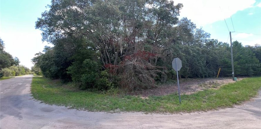 Land in Ocklawaha, Florida № 2228222