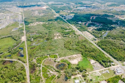 Land in Davenport, Florida № 1771931 - photo 8