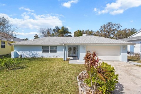 Villa ou maison à vendre à Homosassa, Floride: 3 chambres, 176.33 m2 № 1544267 - photo 1