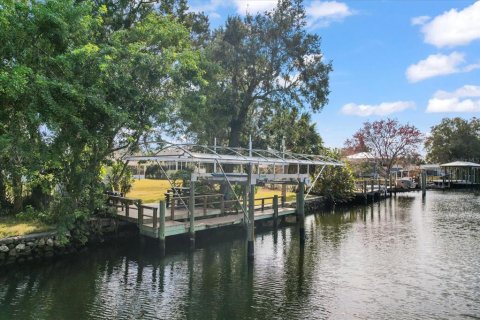 Villa ou maison à vendre à Homosassa, Floride: 3 chambres, 176.33 m2 № 1544267 - photo 3
