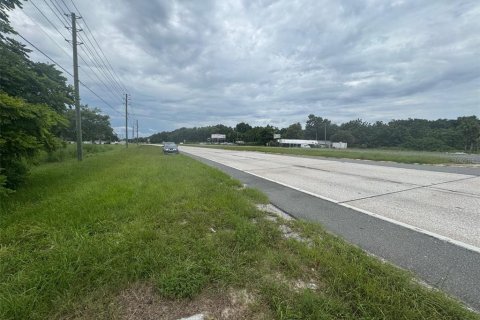 Land in Mount Dora, Florida № 1847254 - photo 2