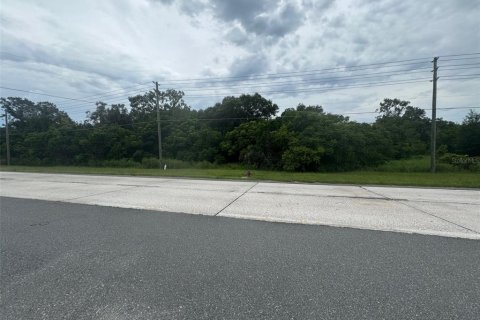 Land in Mount Dora, Florida № 1847254 - photo 1