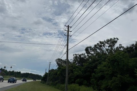 Land in Mount Dora, Florida № 1847254 - photo 12