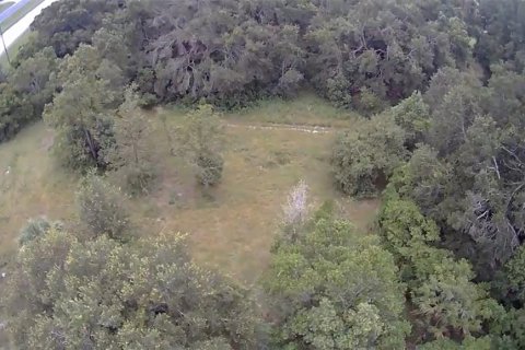 Land in Mount Dora, Florida № 1847254 - photo 10