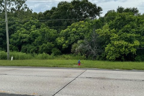Land in Mount Dora, Florida № 1847254 - photo 11