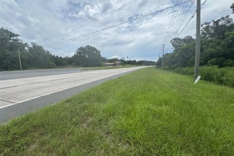 Land in Mount Dora, Florida № 1847254 - photo 3
