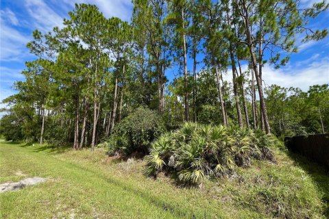 Terreno en venta en Orlando, Florida № 1904132 - foto 4