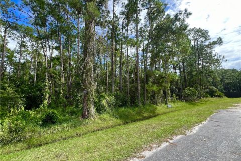 Terreno en venta en Orlando, Florida № 1904132 - foto 1
