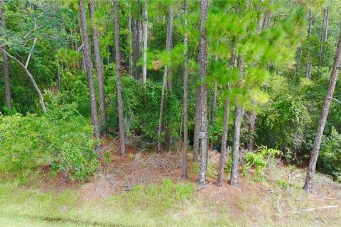 Terreno en venta en Orlando, Florida № 1904132 - foto 6