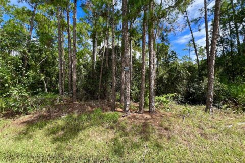 Terreno en venta en Orlando, Florida № 1904132 - foto 2