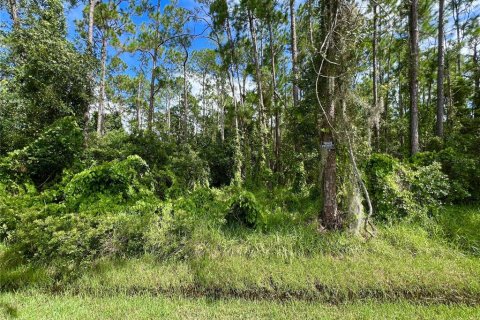 Terreno en venta en Orlando, Florida № 1904132 - foto 3