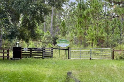 Terreno en venta en Orlando, Florida № 1904132 - foto 14