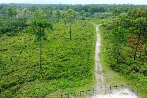 Terreno en venta en Orlando, Florida № 1904132 - foto 17