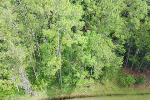 Terreno en venta en Orlando, Florida № 1904132 - foto 7
