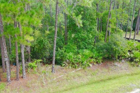 Terreno en venta en Orlando, Florida № 1904132 - foto 9