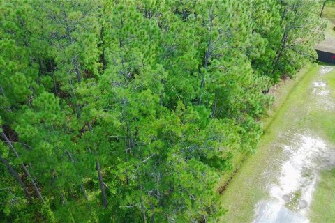 Terreno en venta en Orlando, Florida № 1904132 - foto 5