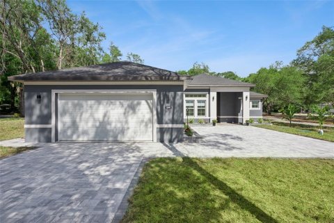 Villa ou maison à Apopka, Floride 5 chambres, 204.2 m2 № 2113116
