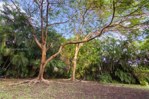 House in Pinecrest, Florida 6 bedrooms, 449.74 sq.m. № 1990672 - photo 23