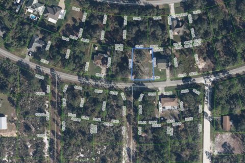 Casa en venta en Lake Placid, Florida, 3 dormitorios № 1945758 - foto 24