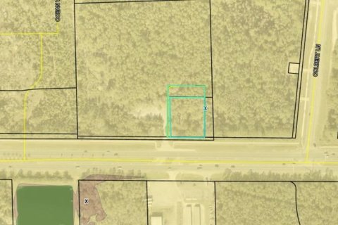 Land in Palm Coast, Florida № 1908105 - photo 2
