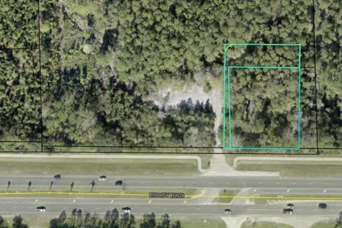 Land in Palm Coast, Florida № 1908105 - photo 1