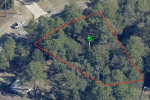 Land in Citrus Springs, Florida № 2223954 - photo 2