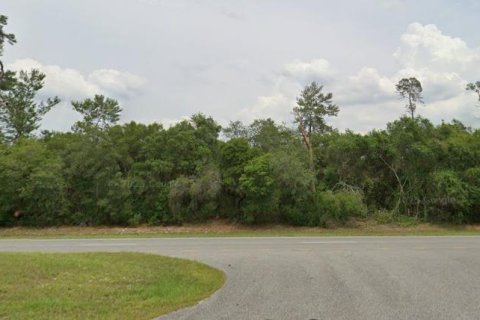 Terreno en Ocala, Florida № 2148606